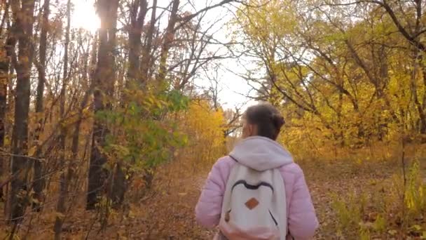 Frau mit Rucksack spaziert im Herbstpark - Steadicam-Aufnahme, Sonnenbrille aufgefackelt — Stockvideo