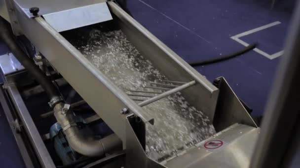 Kunststoff-Recyclingmaschine - Wasserdurchfluss mit recyceltem Kunststoffgranulat, Pellets — Stockvideo