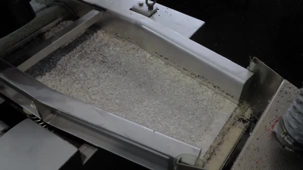 Granuli di plastica riciclata su nastro trasportatore automatico, shale shaker — Video Stock