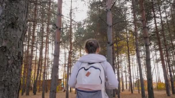 Achteraanzicht van jonge vrouw met rugzak wandelen in de herfst park - steadicam schot — Stockvideo