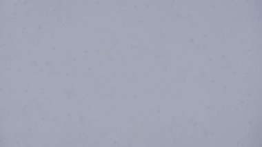 Yavaş çekim - kar yağıyor: gri gökyüzüne karşı büyük ve küçük kar taneleri