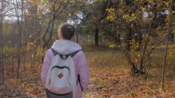 Bakåt syn på ung kvinna med ryggsäck promenader i höstparken - steadicam skott — Stockvideo