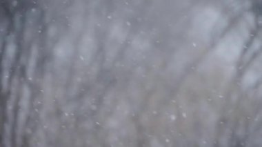 Kar yağışı: büyük ve küçük kar taneleri - yavaş çekim