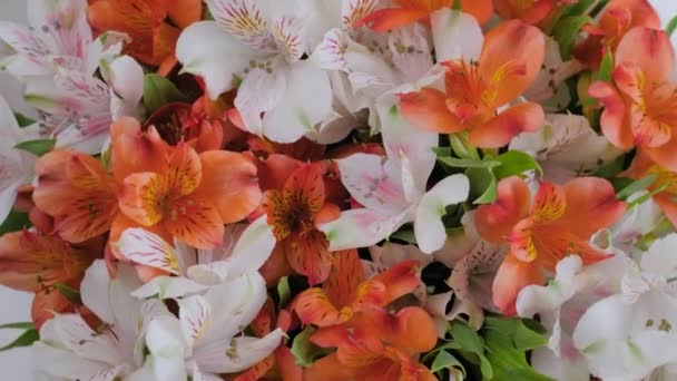 Kytice oranžových a bílých alstroemeria květin na otočném povrchu: zblízka — Stock video