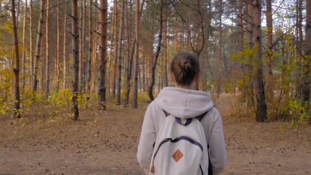 Rückansicht einer jungen Frau mit Rucksack beim Spazierengehen im Herbstpark - Steadicam-Aufnahme — Stockvideo
