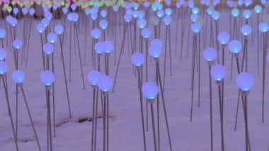 Geceleri kar üzerinde renkli ışıklandırmalı dekoratif ampuller - kapat