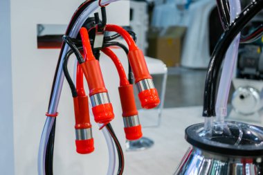 Bir fincan otomatik inek sağma makinesi.