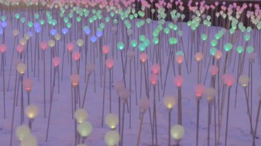 Geceleri kar üzerinde renkli ışıklandırmalı dekoratif ampuller.