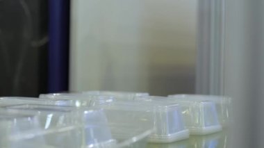 Plastik enjeksiyon makinesinin taşıyıcı bandındaki boş yiyecek kapları