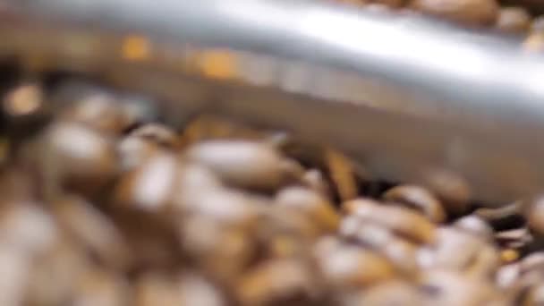 Processus de mélange et de torréfaction - machine de torréfaction de café pendant le travail : ralenti — Video