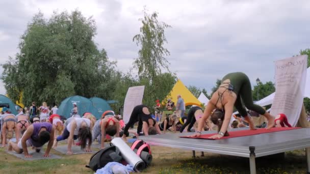 Grupp av personer med tränare som tränar yoga i skogen - slow motion — Stockvideo