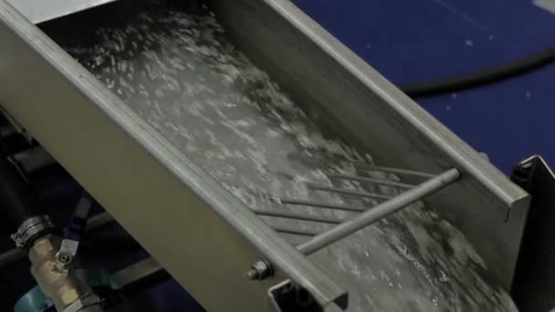 Flujo de agua con gránulos de plástico reciclado, pellets - máquina de reciclaje — Vídeos de Stock