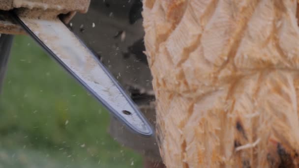 Close up: carpenter using chainsaw for carving wooden sculpture - slow motion — Stock Video