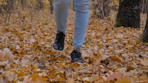 Slow motion: Kvinnliga ben går på väg med fallna löv i höstparken — Stockvideo