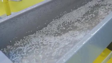 Geri dönüştürülmüş plastik tanecikler, topaklar - plastik geri dönüşüm makinesi ile su akışı