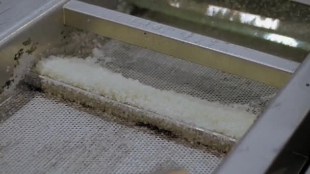 Recyklované plastové granule na automatickém pásovém dopravníku, břidlicová třepačka - zblízka — Stock video