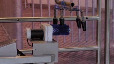 Çiftlikte uyaran, temizleyen, dezenfekte eden inek memesi sistemi