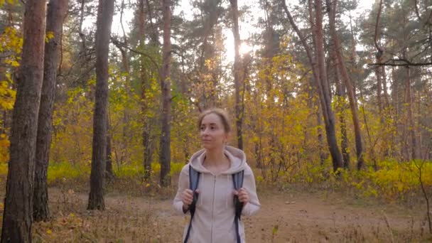 Vrouw met rugzak wandelen in het najaar park - steadicam schot, zonnebril fakkels — Stockvideo