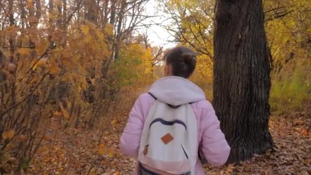 Mladá žena s batohem procházky v podzimním parku - steadicam shot — Stock video