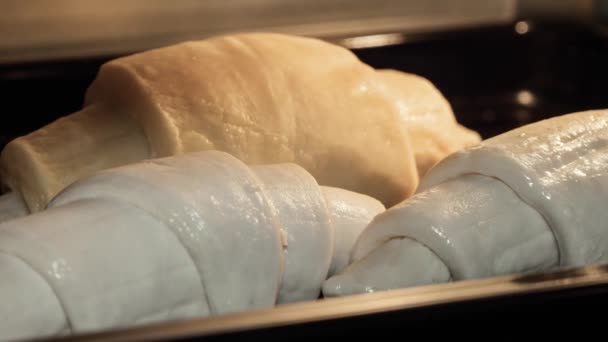 Timelapse - tres croissants horneando y subiendo en el horno eléctrico: de cerca — Vídeos de Stock