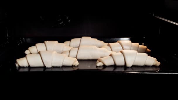 Timelapse - zes zelfgemaakte croissants bakken en rijzen in elektrische oven thuis — Stockvideo