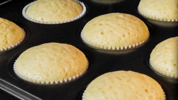 Timelapse - cupcakes, bolos assando e subindo no forno elétrico: close-up — Vídeo de Stock