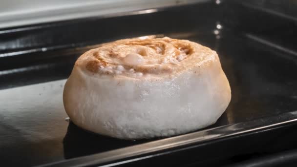 Timelapse - σπιτικό ψωμάκι κανέλας ψήσιμο και αύξηση στο ηλεκτρικό φούρνο στο σπίτι — Αρχείο Βίντεο