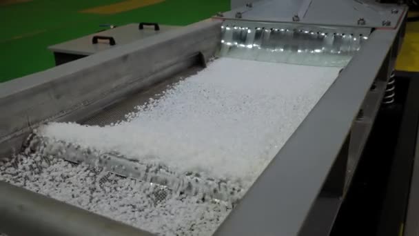 Λευκά ανακυκλωμένα πλαστικά κοκκία σε αυτόματο αναδευτήρα σχιστόλιθου, ιμάντα μεταφοράς — Αρχείο Βίντεο