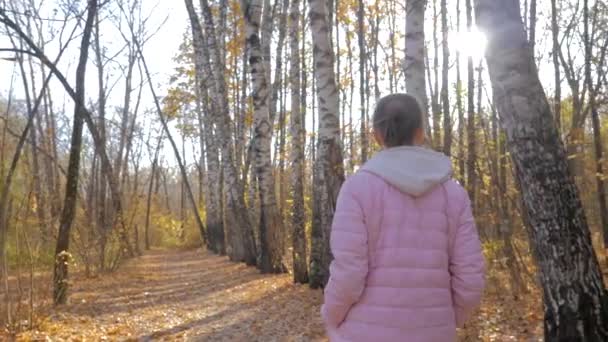 Jonge vrouw wandelen in de herfst park - steadicam schot, zonnebril fakkels — Stockvideo