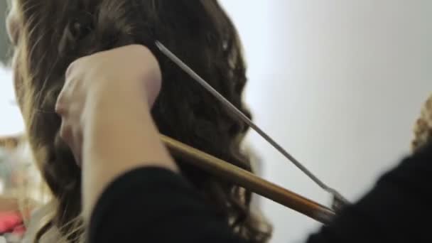Στυλίστας που χρησιμοποιεί σίδερο για μπούκλες στα μαλλιά — Αρχείο Βίντεο