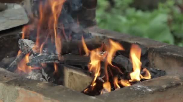 Queima de madeira em um braseiro — Vídeo de Stock