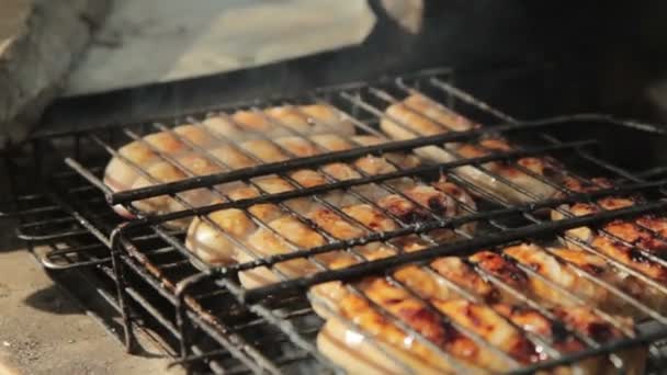 Gegrilde worstjes boven een vuur op een picknick — Stockvideo