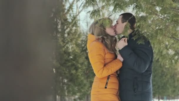 Romantický pár líbání v lese — Stock video