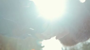 -Romantik Çift el ele tutuşarak tr