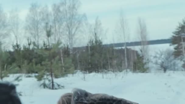 Pareja teniendo pelea de bolas de nieve en la nieve en el bosque de invierno — Vídeos de Stock