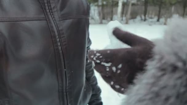 Mani di donna con cuore di neve in inverno — Video Stock