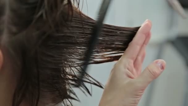 Coiffeur coupe cheveux bruns avec des ciseaux — Video