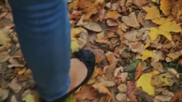 Mujer caminando a través del país y sendero en el bosque de otoño — Vídeo de stock