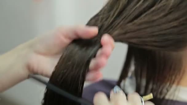 Peluquería peinar clientes cabello mojado en el salón — Vídeos de Stock