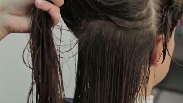 Парикмахер расчесывает клиентов мокрыми волосами в салоне — стоковое видео