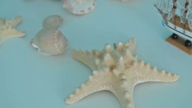 Balık yıldız ve deniz kabukları ahşap mavi zemin üzerine yaz zamanla kavramı