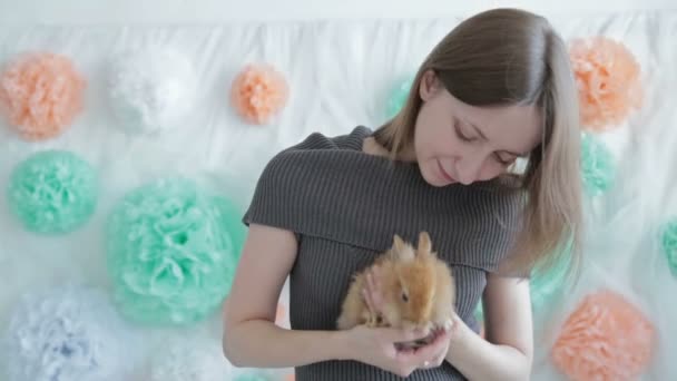 Femme tenant petit lapin mignon — Video