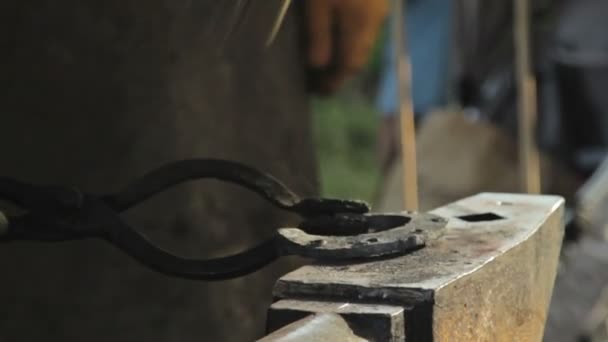 Blacksmith make a horseshoe — Stock Video