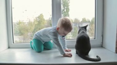 Kara kedi evde pencere oturmak ile küçük çocuk