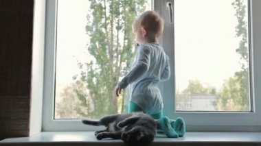 Kara kedi evde pencere oturmak ile küçük çocuk