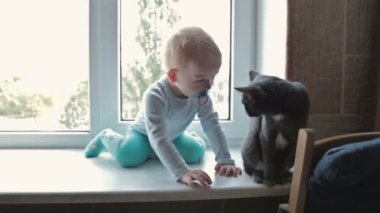 Kara kedi evde pencere oturmak ile küçük çocuk