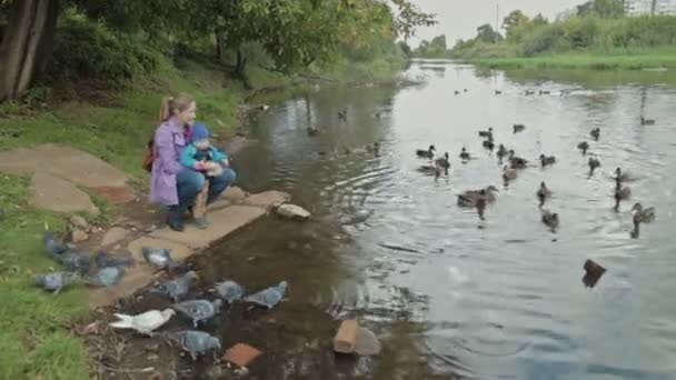 Matka a jeho malý syn krmení kachen na podzim — Stock video