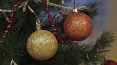 İki topları ile süslenmiş Noel ağacı dalı