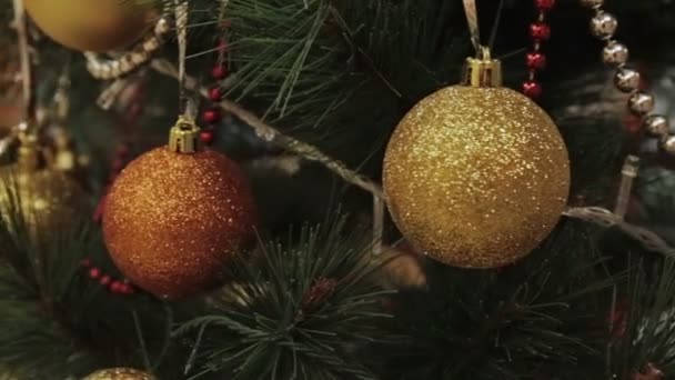 Ramo de árvore de Natal decorado com duas bolas — Vídeo de Stock