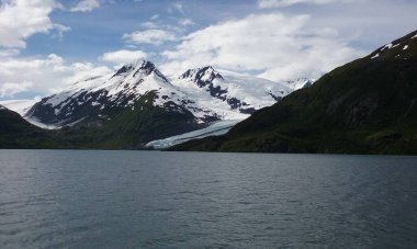 Alaska 'nın Chugach Ulusal Ormanı' ndaki Portage Buzulu. 13 Haziran 2016